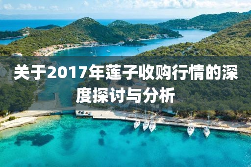 关于2017年莲子收购行情的深度探讨与分析