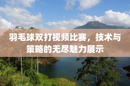 羽毛球双打视频比赛，技术与策略的无尽魅力展示
