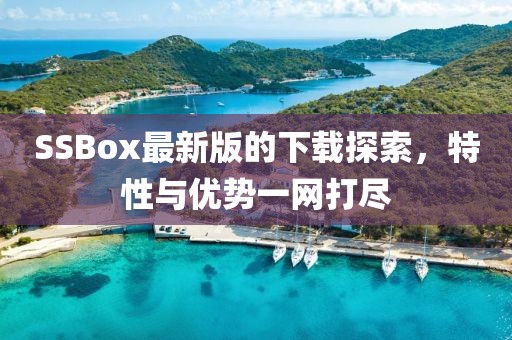 SSBox最新版的下载探索，特性与优势一网打尽