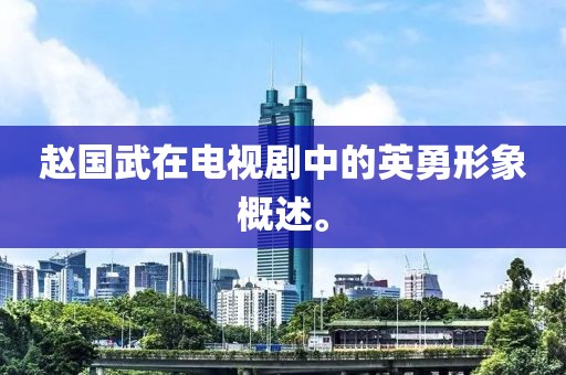 赵国武在电视剧中的英勇形象概述。