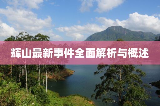 辉山最新事件全面解析与概述
