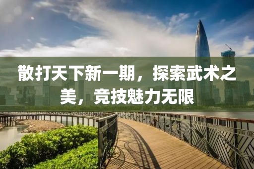 散打天下新一期，探索武术之美，竞技魅力无限