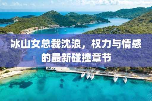 冰山女总裁沈浪，权力与情感的最新碰撞章节