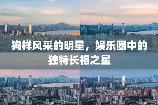 狗样风采的明星，娱乐圈中的独特长相之星
