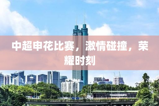 中超申花比赛，激情碰撞，荣耀时刻