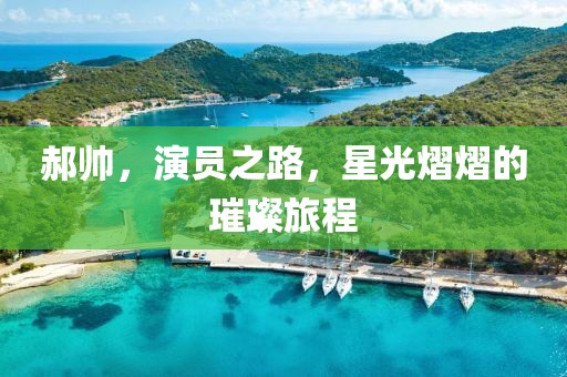 郝帅，演员之路，星光熠熠的璀璨旅程