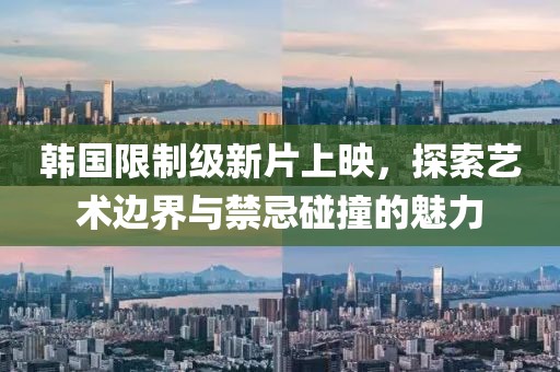 韩国限制级新片上映，探索艺术边界与禁忌碰撞的魅力