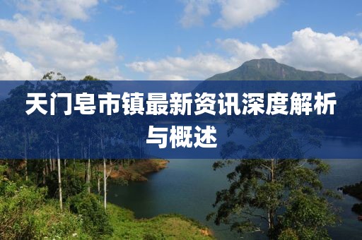 天门皂市镇最新资讯深度解析与概述