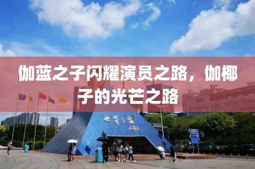 伽蓝之子闪耀演员之路，伽椰子的光芒之路