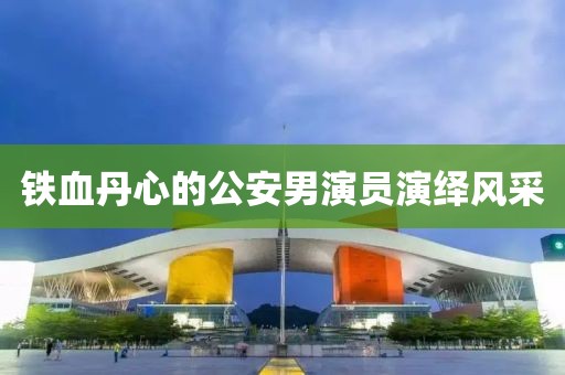 铁血丹心的公安男演员演绎风采