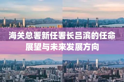 海关总署新任署长吕滨的任命展望与未来发展方向