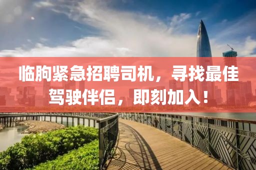 临朐紧急招聘司机，寻找最佳驾驶伴侣，即刻加入！