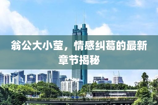 翁公大小莹，情感纠葛的最新章节揭秘