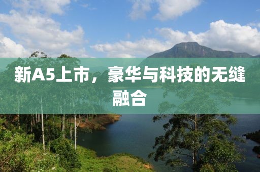 新A5上市，豪华与科技的无缝融合
