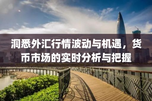 洞悉外汇行情波动与机遇，货币市场的实时分析与把握