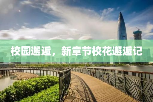 校园邂逅，新章节校花邂逅记