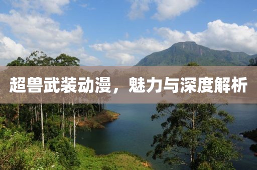 超兽武装动漫，魅力与深度解析