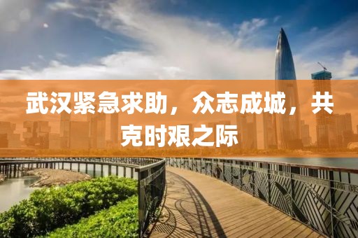 武汉紧急求助，众志成城，共克时艰之际