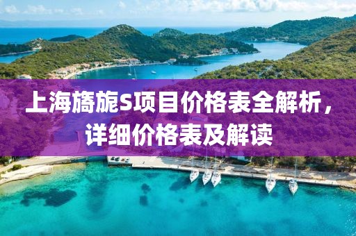 上海旖旎S项目价格表全解析，详细价格表及解读