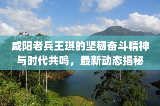 咸阳老兵王琪的坚韧奋斗精神与时代共鸣，最新动态揭秘