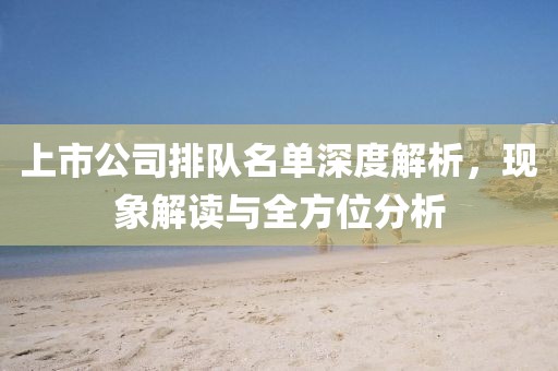 上市公司排队名单深度解析，现象解读与全方位分析
