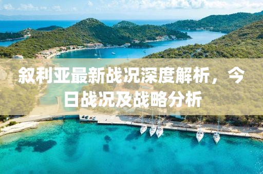 叙利亚最新战况深度解析，今日战况及战略分析