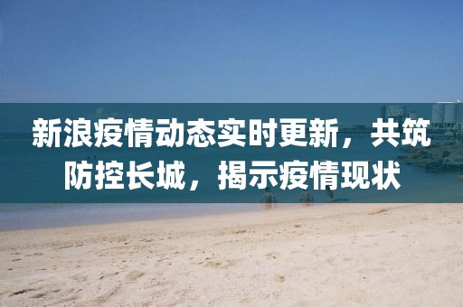 新浪疫情动态实时更新，共筑防控长城，揭示疫情现状