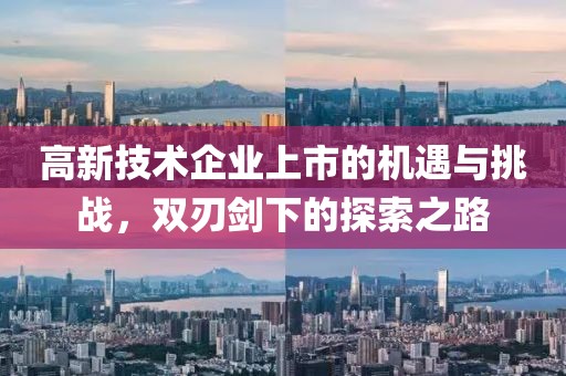 高新技术企业上市的机遇与挑战，双刃剑下的探索之路