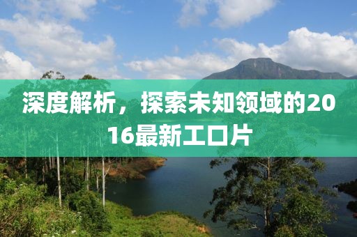 深度解析，探索未知领域的2016最新工口片