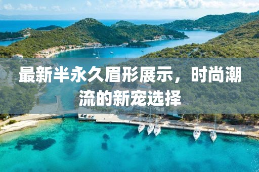 最新半永久眉形展示，时尚潮流的新宠选择