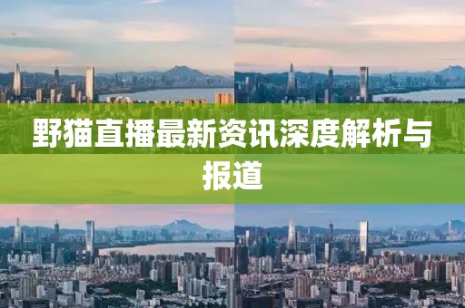 野猫直播最新资讯深度解析与报道