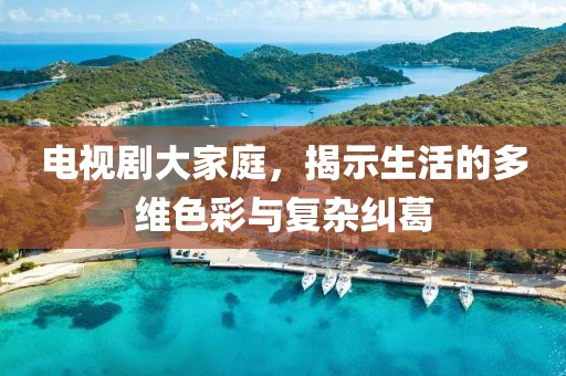 电视剧大家庭，揭示生活的多维色彩与复杂纠葛
