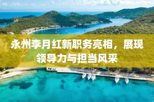 永州李月红新职务亮相，展现领导力与担当风采