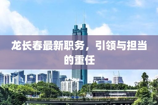 龙长春最新职务，引领与担当的重任