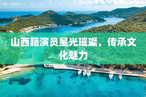 山西籍演员星光璀璨，传承文化魅力