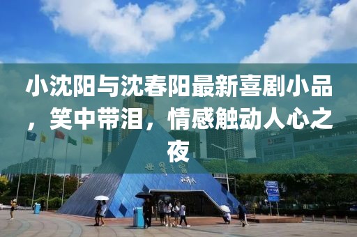 小沈阳与沈春阳最新喜剧小品，笑中带泪，情感触动人心之夜
