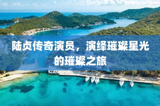 陆贞传奇演员，演绎璀璨星光的璀璨之旅