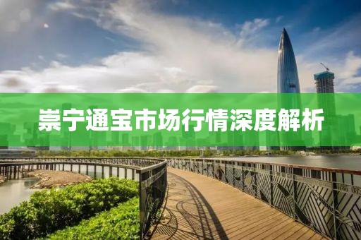 崇宁通宝市场行情深度解析