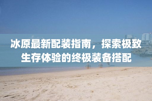 冰原最新配装指南，探索极致生存体验的终极装备搭配