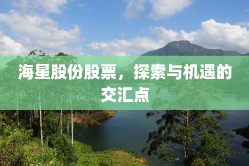 海星股份股票，探索与机遇的交汇点