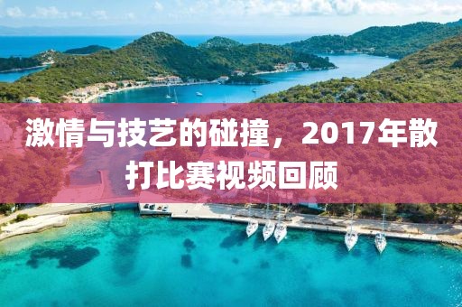 激情与技艺的碰撞，2017年散打比赛视频回顾