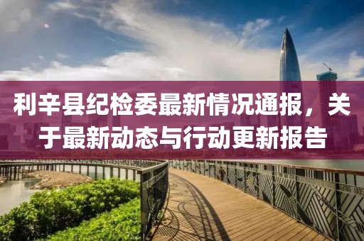 利辛县纪检委最新情况通报，关于最新动态与行动更新报告