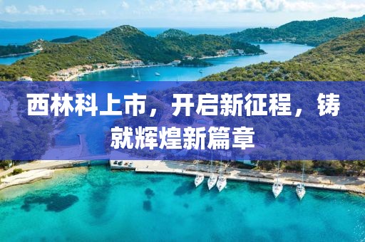 西林科上市，开启新征程，铸就辉煌新篇章