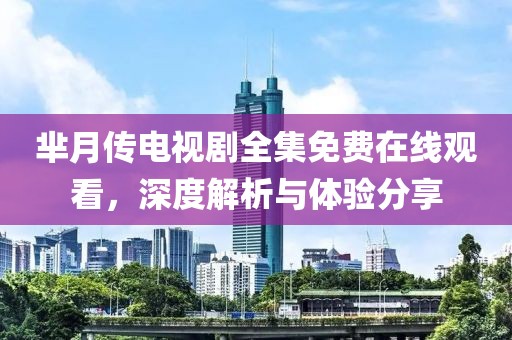 芈月传电视剧全集免费在线观看，深度解析与体验分享