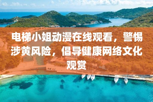 电梯小姐动漫在线观看，警惕涉黄风险，倡导健康网络文化观赏