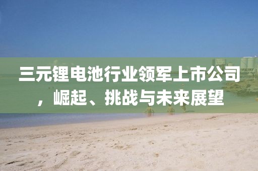 三元锂电池行业领军上市公司，崛起、挑战与未来展望