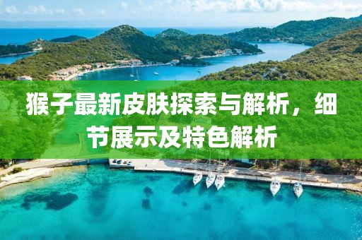 猴子最新皮肤探索与解析，细节展示及特色解析