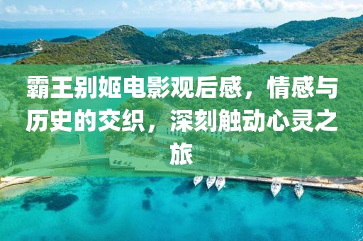 霸王别姬电影观后感，情感与历史的交织，深刻触动心灵之旅
