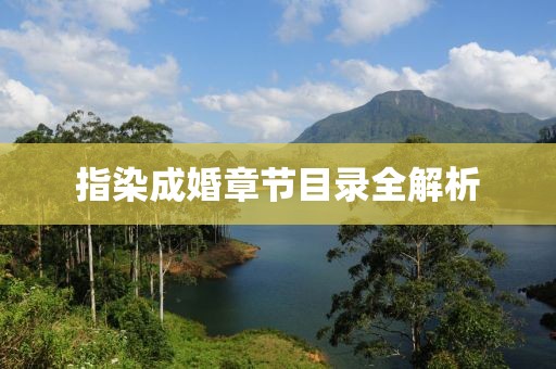 指染成婚章节目录全解析