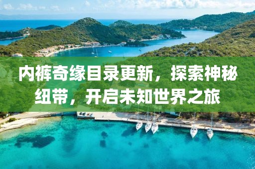 内裤奇缘目录更新，探索神秘纽带，开启未知世界之旅